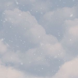 Meet your Posher, Nanci